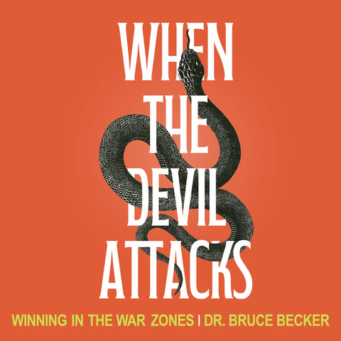 When the Devil Attacks: Winning in the War Zones | E-book