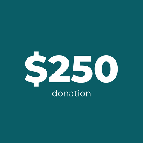 $250 donation