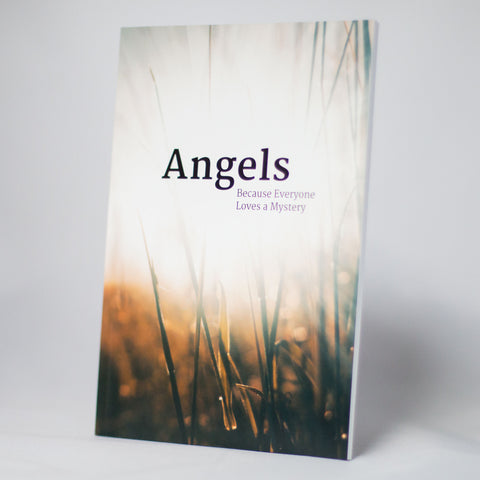 Angels: Because Everyone Loves a Mystery