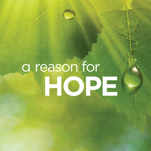 A Reason for Hope: Overcoming Earthly Struggles and Looking Forward to Heaven | E-book