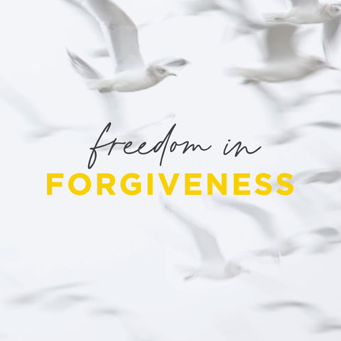 Freedom in Forgiveness | E-book