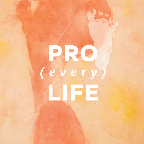 Pro (Every) Life | E-book
