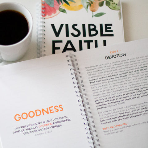 Visible Faith: Living a Fruitful Life in Christ